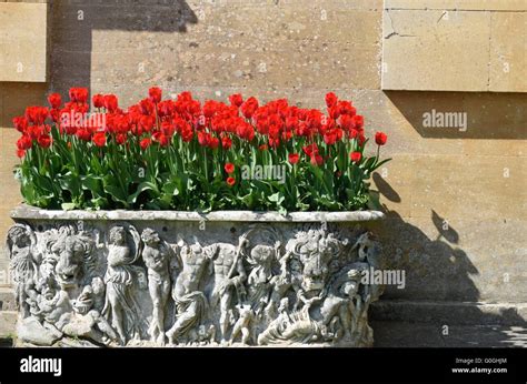 Large Patio Planter Hi Res Stock Photography And Images Alamy