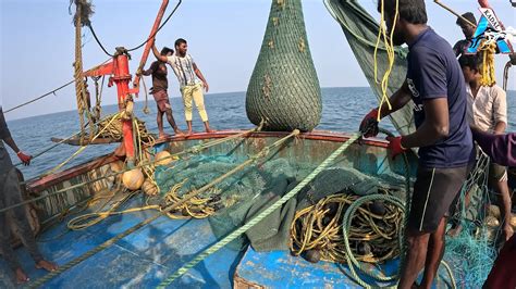 Big Catch In The Sea You Won T Believe That How Many Fish Awesome