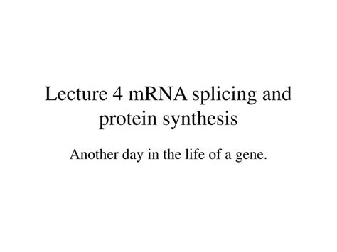 Ppt Lecture Mrna Splicing And Protein Synthesis Powerpoint