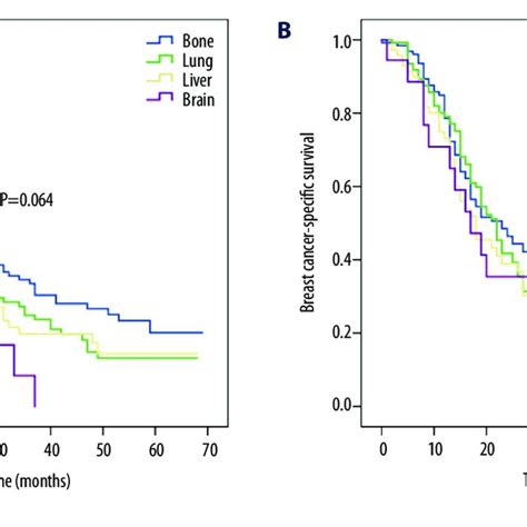 Kaplan Meier Survival Curves Of A Overall Survival And B Breast