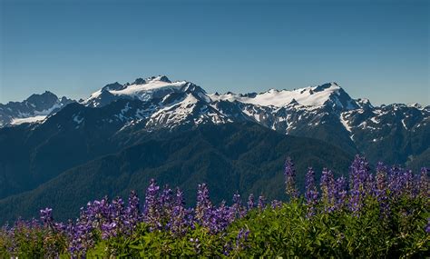 Climb Mount Olympus - Alpine Ascents International | Mt Olympus Guides