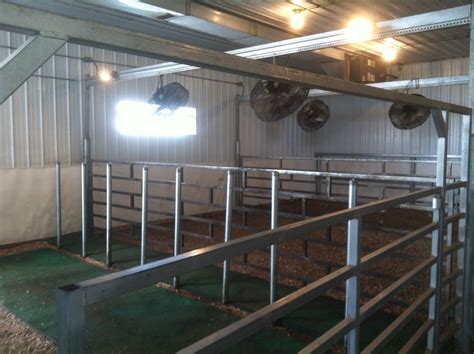 Modern Cow Shed Design