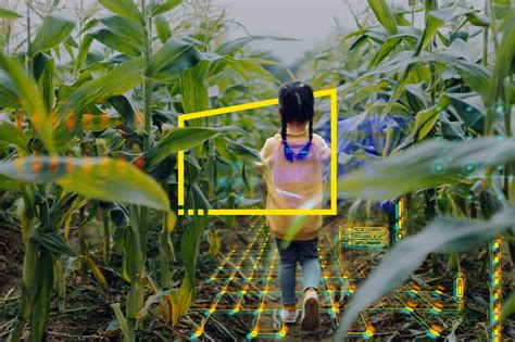 Technology | Insights, case studies & services | EY global | EY - Global