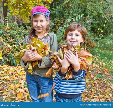 Kinderen In De Herfstbos Spel Met Gevallen Onderaan Blad Stock Foto