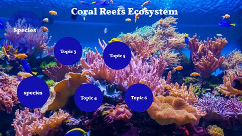 Coral Reefs Ecosystem By Etni Cruz On Prezi