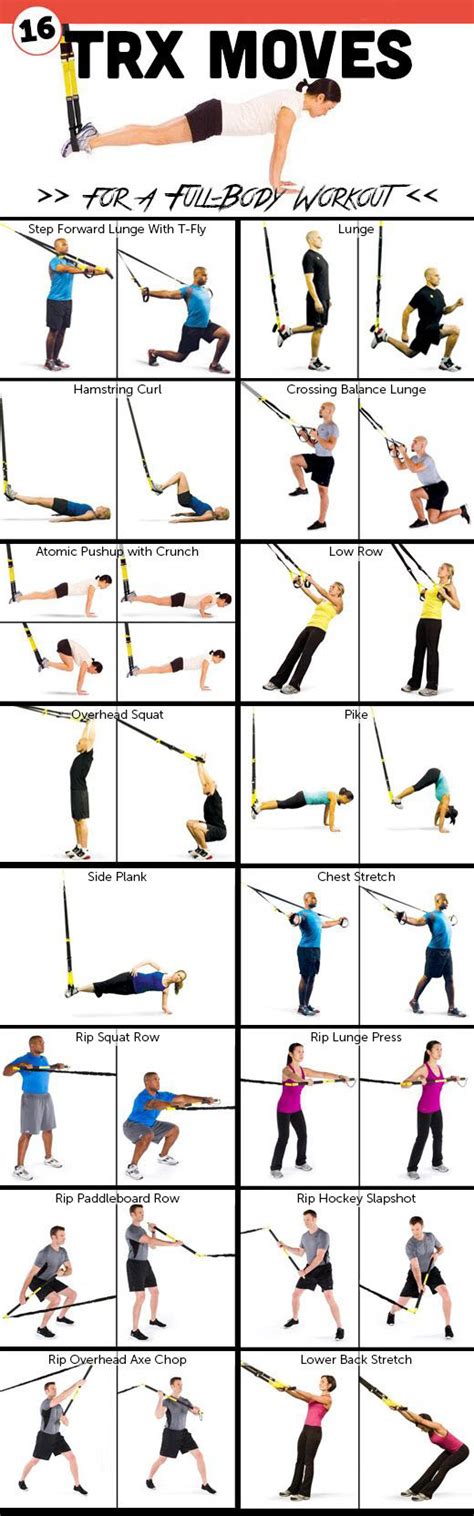 Trx Upper Body Workouts Pdf Blog Dandk