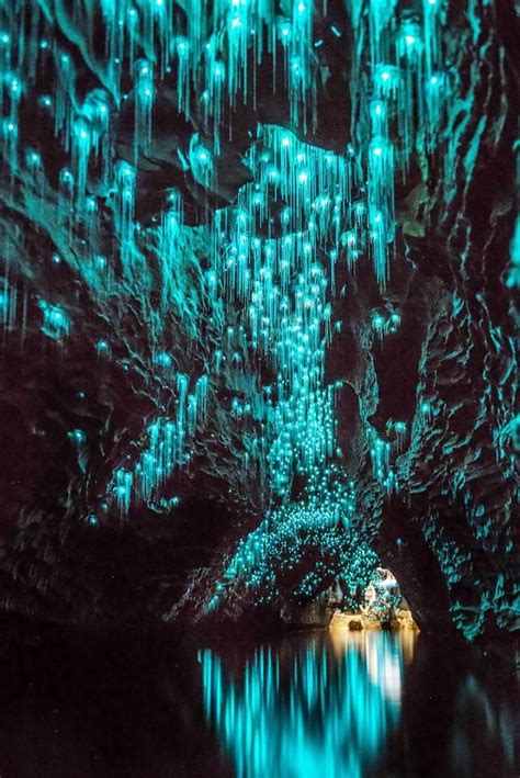 Waitomo Caves New Zealand Snowy Peaks Rv Park