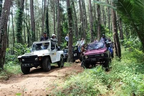 Pemdes Ngadirejo Kembangkan Wisata Petualangan Di Dalam Hutan Pinus