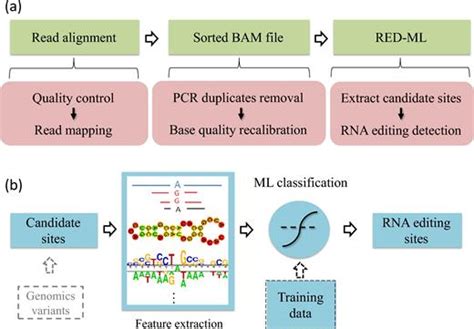 Validate User Machine Learning Gene Expression Detection