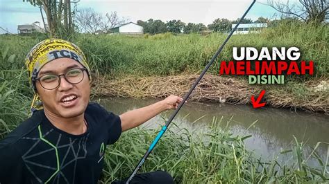 Umpan Jatuh Diserbu Udang Gagal Mancing Ikan Nilem YouTube