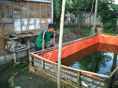 Belajar Bersama Budidaya Ikan Media Kolam Terpal Habitat Lele Sangkuriang