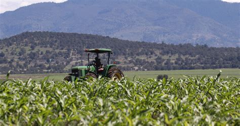 Actividad Económica De México Repunta En 04 En Julio Liderada Por