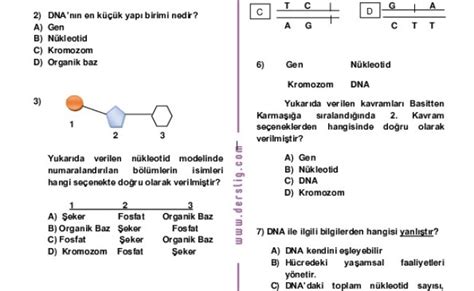 8 Sinif Fen Bilimleri Dna Ve Genetik Kod Konu Ozeti Derslig Otosection