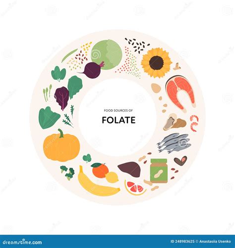 Healthy Food Guide Concept Vector Flat Illustration Infographic Of