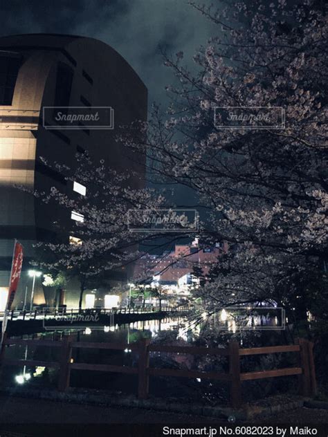 ライトアップされた夜桜の写真・画像素材[6082023] Snapmart（スナップマート）