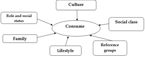 Sociologic Determinants Of Consumer Behavior Download Scientific Diagram