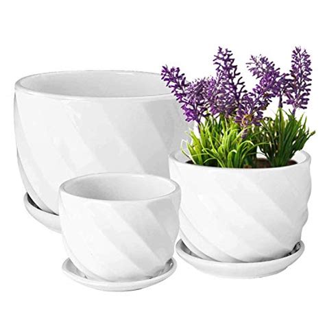 Best Large White Flower Pots For Your Home