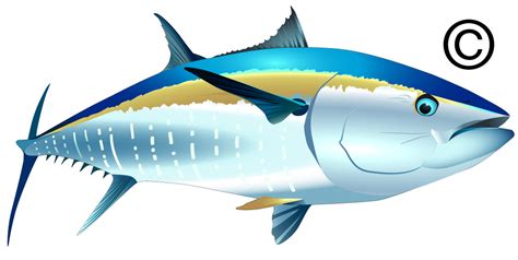 Tuna Fish Cartoon - ClipArt Best