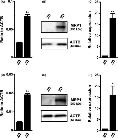 Increased Expression Of Mrp In Sarcoma Spheroids Realtime Pcr