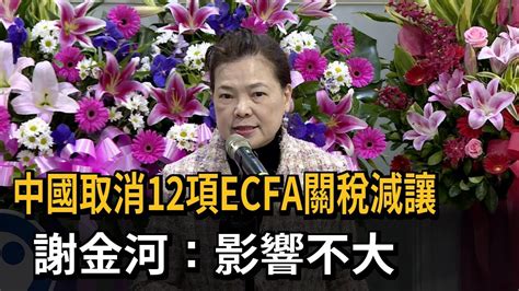 中國取消12項ecfa關稅減讓 謝金河：衝著台塑集團而來－民視新聞 Youtube