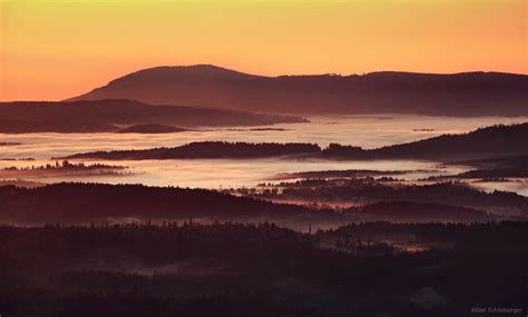 Sunrise Fog | Moss and Fog