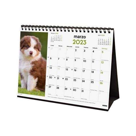 Calendario Sobremesa Finocam Im Genes Cachorros Castellano