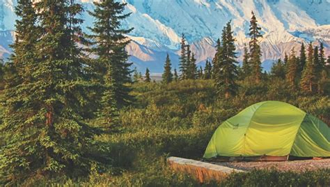 Camping Is The Best Way to Explore Denali National Park
