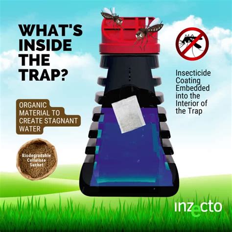 video inzecto  linkedin whats   inzecto mosquito trap