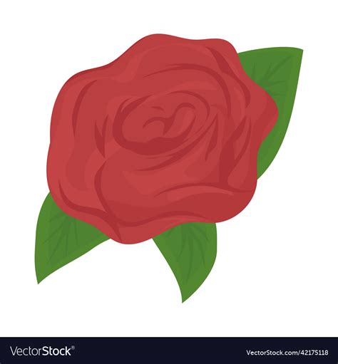 Red Rose Design Royalty Free Vector Image Vectorstock