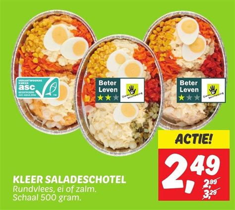 Kleer Saladeschotel Rundvlees Ei Of Zalm Gram Aanbieding Bij