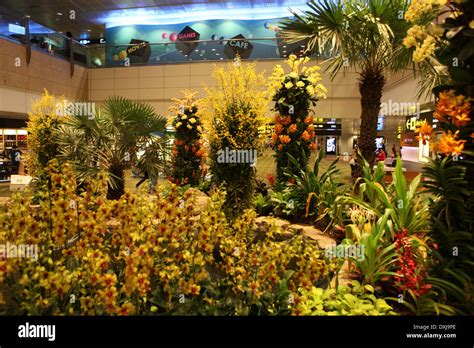 Singapore Changi Airport Stock Photo Alamy