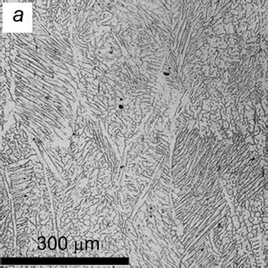 Metal Dendrite