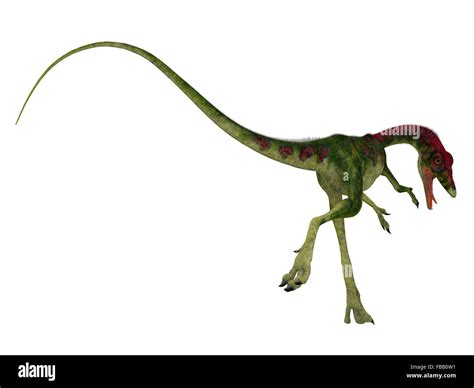 Compsognathus Fue Un Pequeño Dinosaurio Terópodos Carnívoro Que Vivió Durante El Periodo