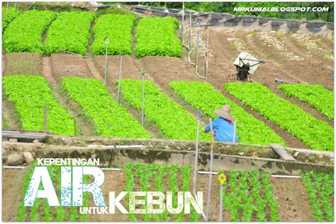 Kepentingan Sumber Air Kepada Kebun Sayur Di