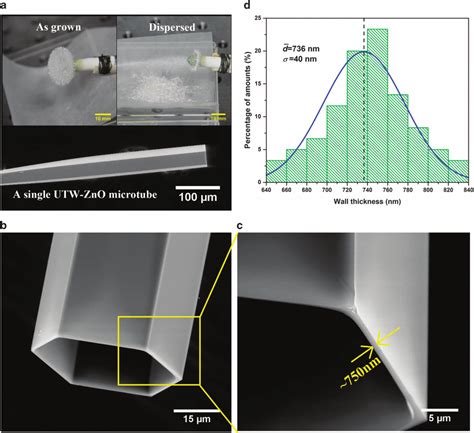 Morphologies Of Ultra Thin Walled Zno Utw Zno Single Crystal