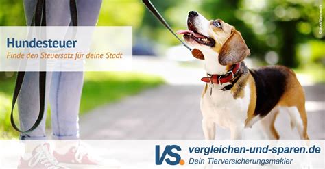 Hundesteuer So Viel Kostet Dein Hund In Deiner Stadt VS