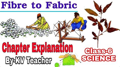 Part Fibre To Fabric Class Science Ncert Chapter