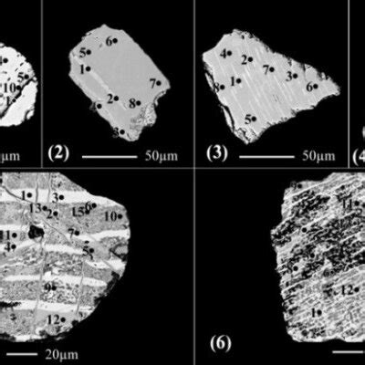 Bse Images Of Different Partially Altered Ilmenite Grains Into Sphene