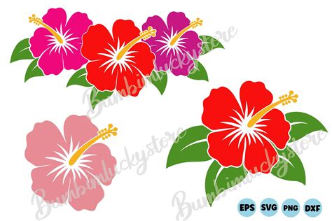 Hibiscus Svg Hibiscus Flower Svg Bundle Graphic By Bumbimluckystore