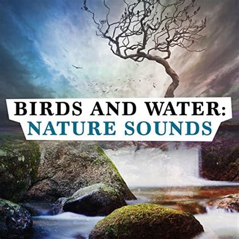 Amazon Music Sound Library Xl Bruits Naturels Nature Sounds Sons