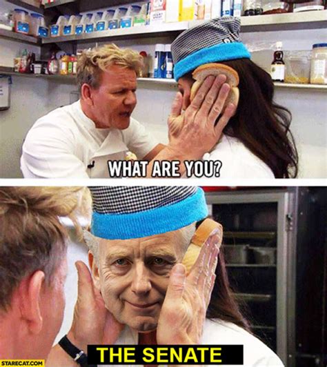 Best Memes of 2017, Ranked - Thrillist