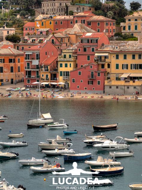 Le Case Sul Mare A Sestri Levante