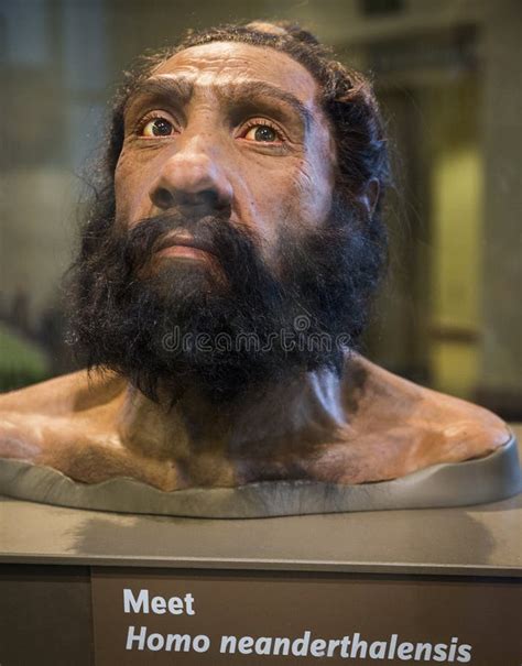 The Caveman Editorial Image Image Of Ancestor Museum 245814420