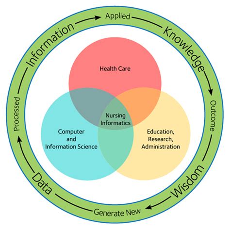 Nursing Informatics Model