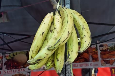 Pisang Tanduk In English Sean Parr