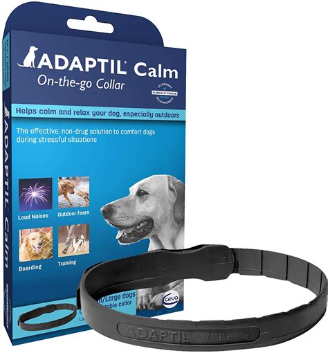 18 Best Calming Aids For Dogs With Anxiety And Stress Hey Djangles