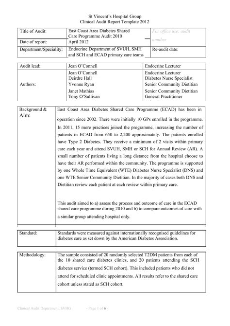 printable audit report templates  excel word