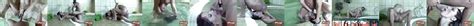 Hairy Pussy Mature Helene Sucks Dick 14 Nude Pics XHamster