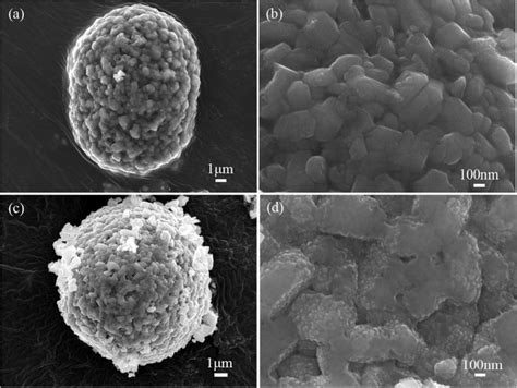 Sem Image Of Pristine Ncm811 A B And Mgo Coated Ncm811 C D At Download Scientific Diagram