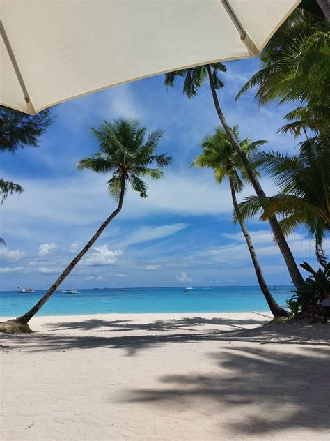 Top Travel Guide to Boracay — It's A Wonderflo World